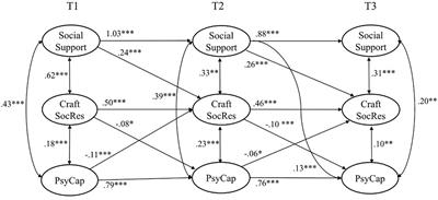 Personal and Social Resources at Work: Reciprocal Relations Between Crafting for Social Job Resources, Social Support at Work and Psychological Capital